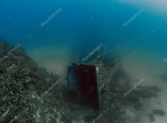 Granchio blu su sfondo marino mediterraneo con riferimento alla sostenibilità