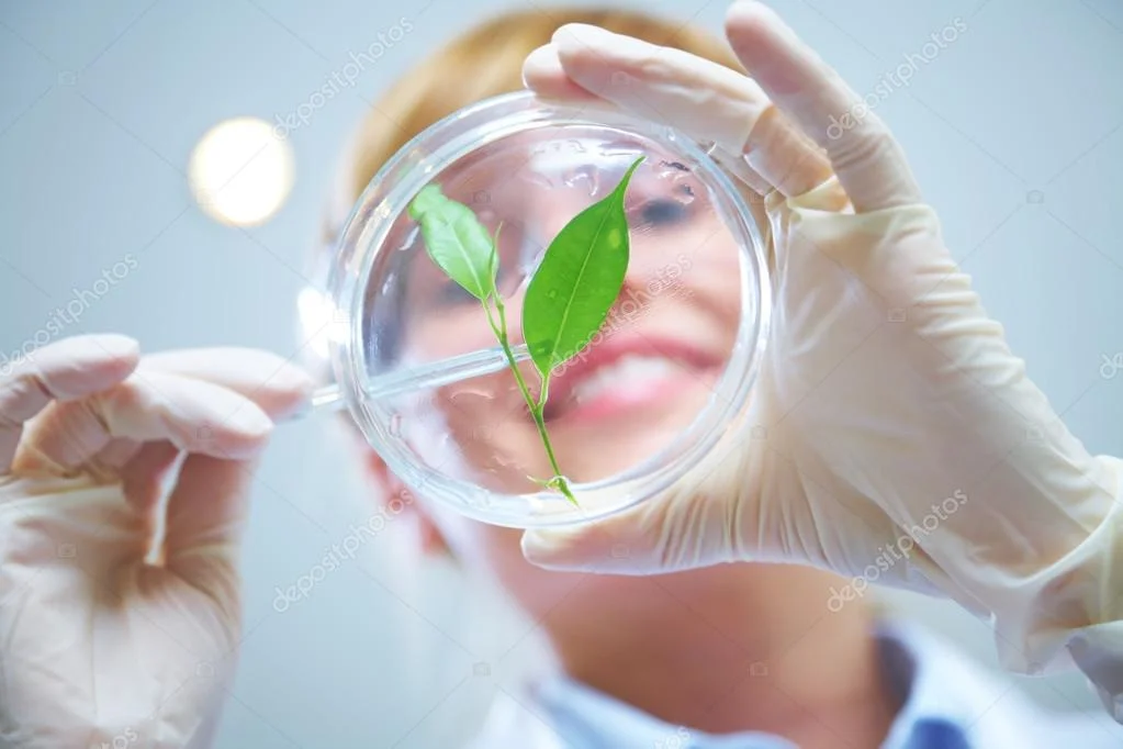 Pianticelle in serra e strumenti scientifici